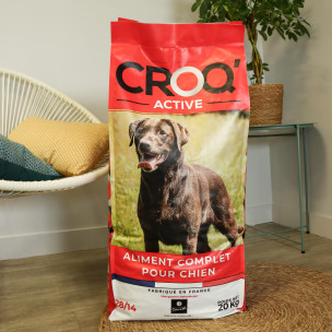 Croquettes CROQ'ACTIVE - 20 kg