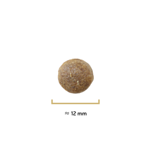 Croquettes Originelle croissance poulet sans céréales - 12 kg