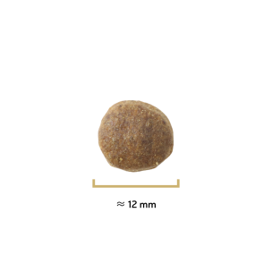 Croquettes Originelle adulte saumon sans céréales - 12 kg