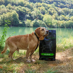 Croquettes Originelle allégé poulet sans céréales - 12 kg