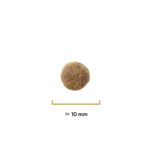 Croquettes Traditionnelle mini adulte canard - 4 kg