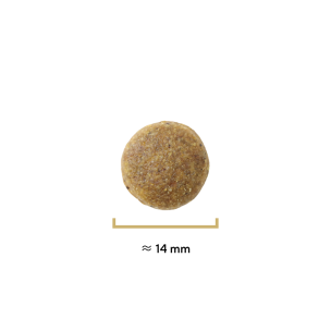 Croquettes Traditionnelle adulte agneau - 400g