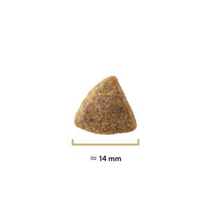 Croquettes Traditionnelle allégé canard - 400g