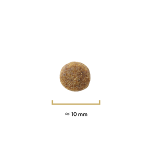 Croquettes Traditionnelle mini adulte agneau - 400g