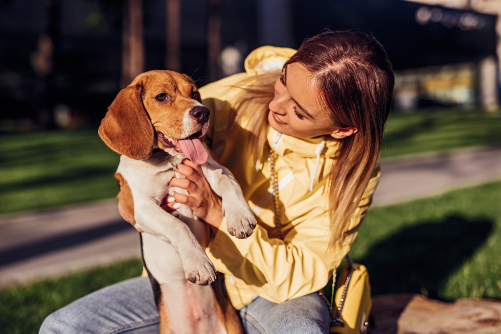 Voici les 5 erreurs à ne pas commettre avec votre chien