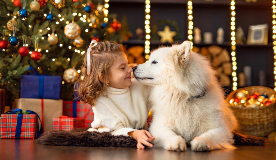 7 idées de cadeaux de Noël pour votre chien