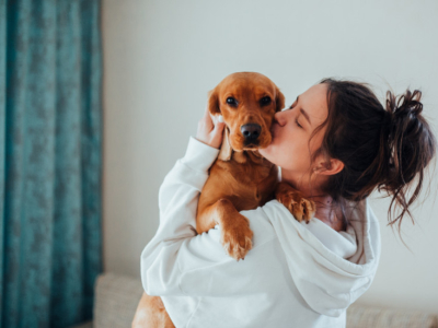 Les bienfaits des chiens sur le stress et l'anxiété